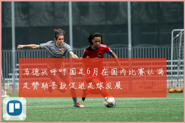 马德兴呼吁国足6月在国内比赛以满足赞助条款促进足球发展